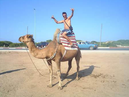 had mo3ad